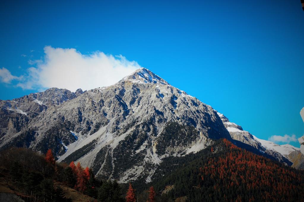 Отель Olympic Mountains Чезана-Торинезе Экстерьер фото
